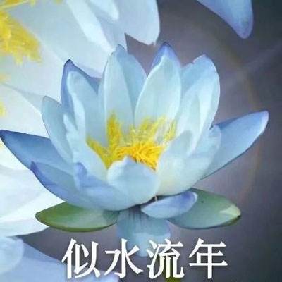 永恒徽章手游百度版下载